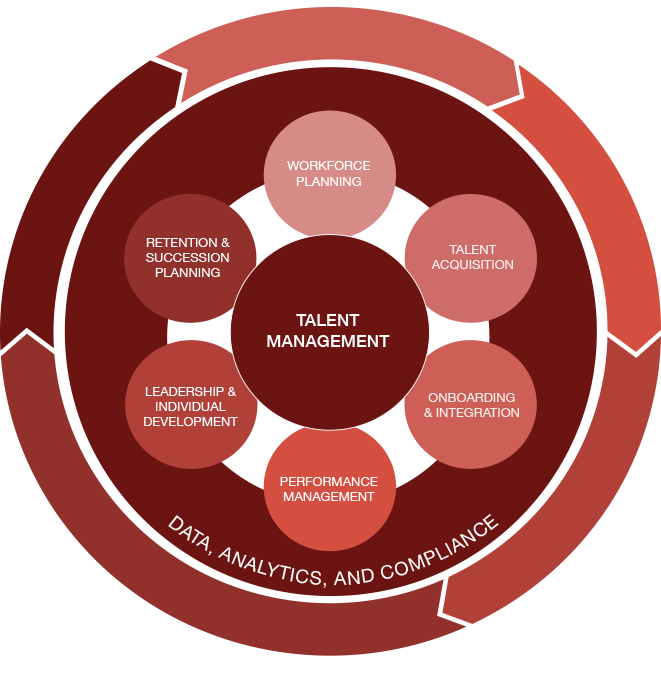 talent management graph